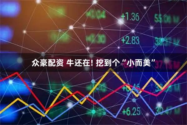 众豪配资 牛还在! 挖到个“小而美”