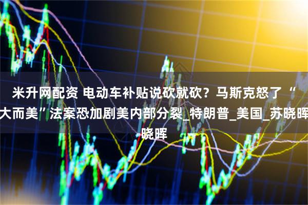 米升网配资 电动车补贴说砍就砍？马斯克怒了 “大而美”法案恐加剧美内部分裂_特朗普_美国_苏晓晖