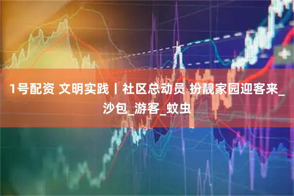 1号配资 文明实践丨社区总动员 扮靓家园迎客来_沙包_游客_蚊虫