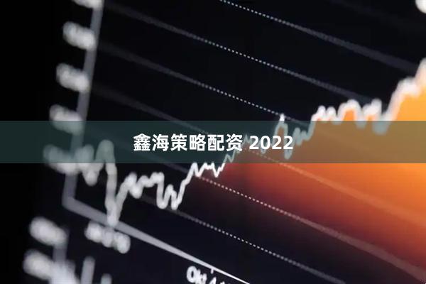 鑫海策略配资 2022